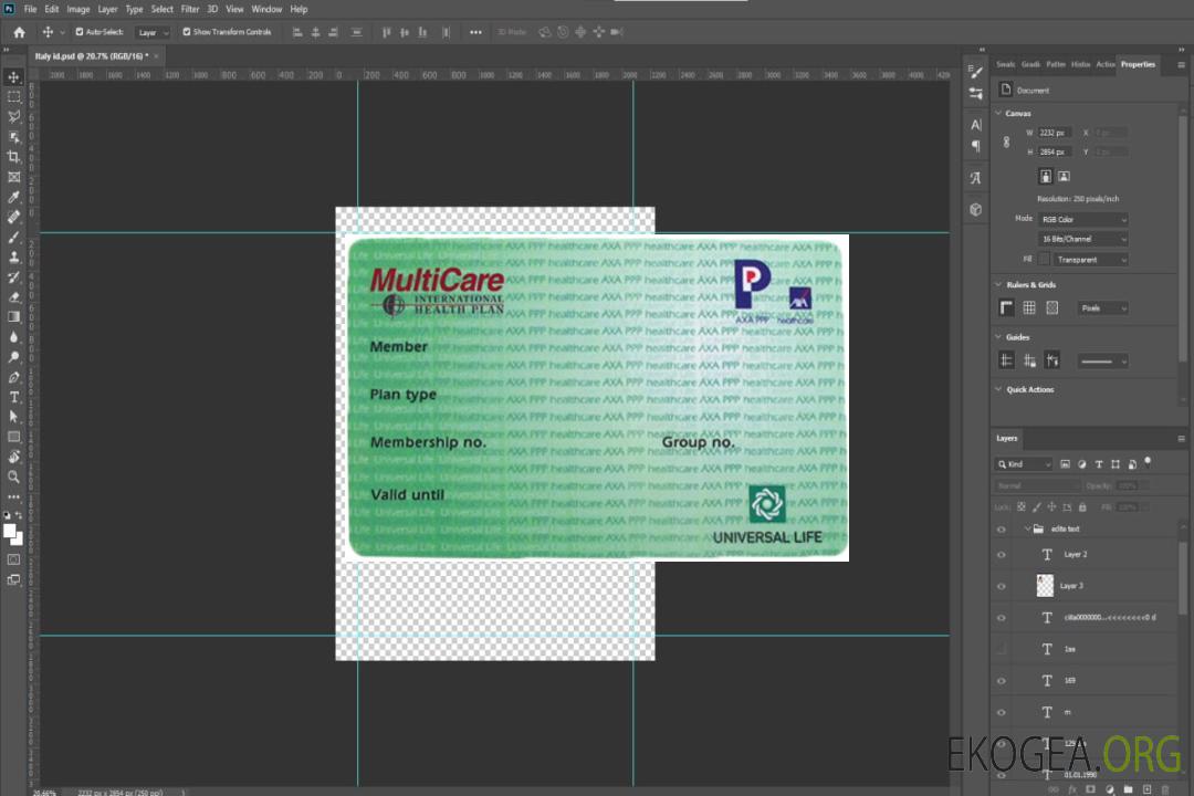 Carte de plan de santé international USA MultiCare template